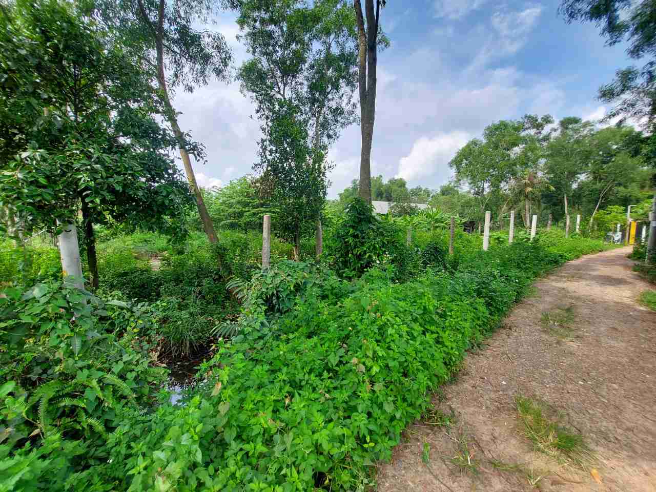 BÁN 2940M2 ĐẤT HUYỆN HÓC MÔN CỰC KỲ ĐẸP GIÁ 9.6 TỶ. SIÊU LỢI NHUẬN. BÁN 2940M2 ĐẤT HUYỆN HÓC MÔN CỰC KỲ ĐẸP GIÁ 9.6 TỶ. SIÊU LỢI NHUẬN.
