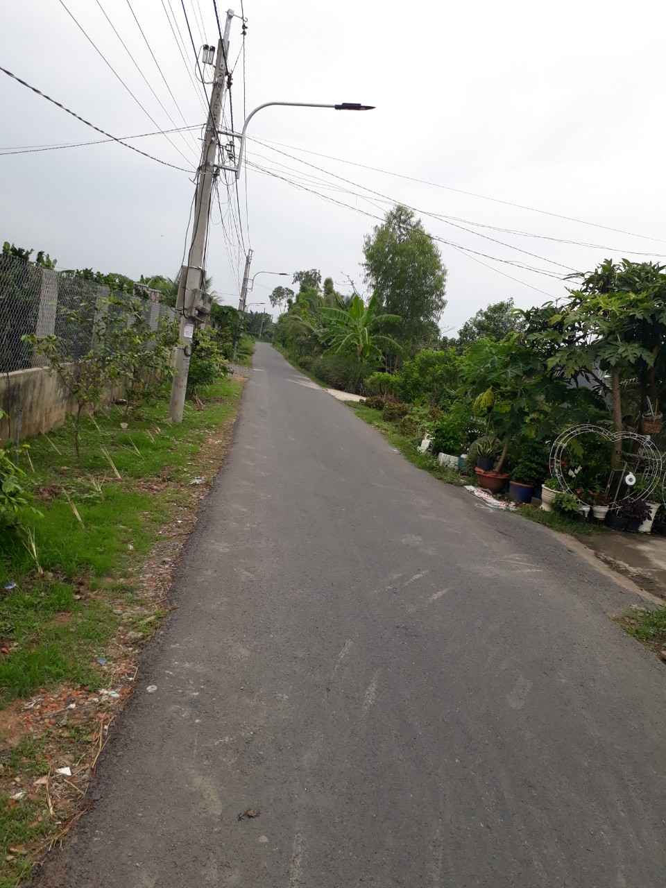 BÁN GẤP ĐẤT VỊ TRÍ ĐẸP TẠI ĐƯỜNG BÌNH LỢI, XÃ TÂN MỸ CHÁNH, MỸ THO, TIỀN BÁN GẤP ĐẤT VỊ TRÍ ĐẸP TẠI ĐƯỜNG BÌNH LỢI, XÃ TÂN MỸ CHÁNH, MỸ THO, TIỀN