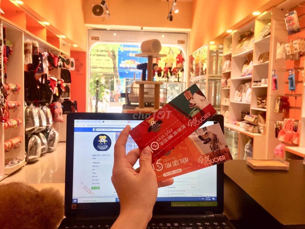 SANG NHƯỢNG CỬA HÀNG THÚ CƯNG ĐẰNG LÂM, HẢI PHONG GIÁ TỐT SANG NHƯỢNG CỬA HÀNG THÚ CƯNG ĐẰNG LÂM, HẢI PHONG GIÁ TỐT