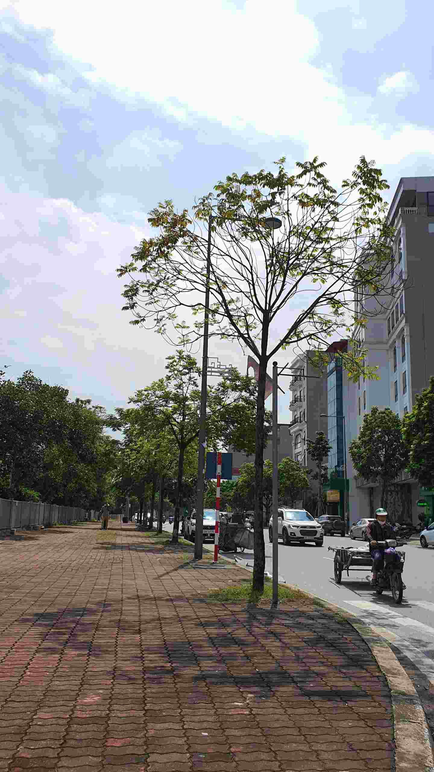 BÁN NHÀ MẶT NGÕ 90 MIẾU ĐẦM - ĐƯỜNG Ô TÔ TẢI - LÔ GÓC - KINH DOANH - 200M2 BÁN NHÀ MẶT NGÕ 90 MIẾU ĐẦM - ĐƯỜNG Ô TÔ TẢI - LÔ GÓC - KINH DOANH - 200M2