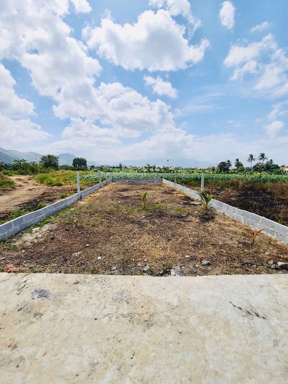 ĐẤT ĐẸP THÔN ĐÔNG DINH, DIÊN TOÀN, DIÊN KHÁNH - 140.7M, GIÁ 11.9 TR/M² ĐẤT ĐẸP THÔN ĐÔNG DINH, DIÊN TOÀN, DIÊN KHÁNH - 140.7M, GIÁ 11.9 TR/M²
