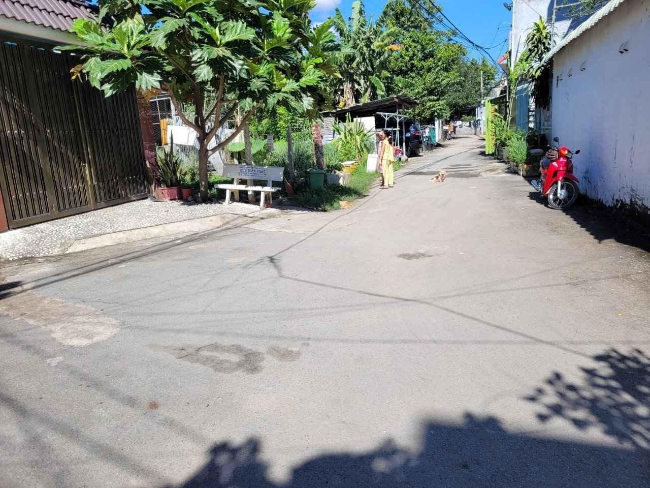 BÁN ĐẤT ĐƯỜNG GÒ CÁT GẦN CHỢ PHÚ HỮU Q.9 TP THỦ ĐỨC (252M2) 8.2 TỶ BÁN ĐẤT ĐƯỜNG GÒ CÁT GẦN CHỢ PHÚ HỮU Q.9 TP THỦ ĐỨC (252M2) 8.2 TỶ