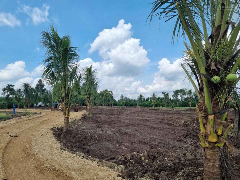 ĐẤT VƯỜN BẢO BÌNH, XUÂN TÂY, HUYỆN CẨM MỸ ĐỒNG NAI. ĐẤT VƯỜN BẢO BÌNH, XUÂN TÂY, HUYỆN CẨM MỸ ĐỒNG NAI.
