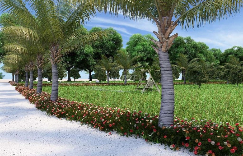 ĐẤT VƯỜN BẢO BÌNH, XUÂN TÂY, HUYỆN CẨM MỸ ĐỒNG NAI. ĐẤT VƯỜN BẢO BÌNH, XUÂN TÂY, HUYỆN CẨM MỸ ĐỒNG NAI.