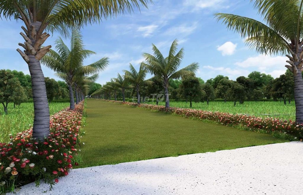ĐẤT VƯỜN BẢO BÌNH, XUÂN TÂY, HUYỆN CẨM MỸ ĐỒNG NAI. ĐẤT VƯỜN BẢO BÌNH, XUÂN TÂY, HUYỆN CẨM MỸ ĐỒNG NAI.