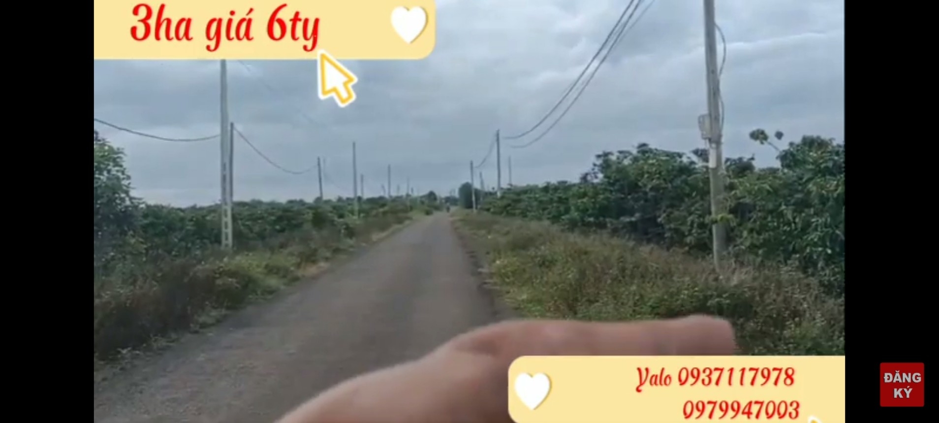 BÁN 3HA ĐẤT RẪY TẠI XÃ CHƯ PƠNG, HUYỆN CHƯ SÊ, GIA LAI. BÁN 3HA ĐẤT RẪY TẠI XÃ CHƯ PƠNG, HUYỆN CHƯ SÊ, GIA LAI.