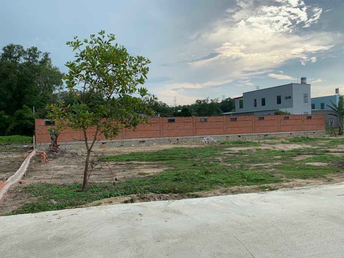 BÁN ĐẤT NGAY CÁI MÉP PHƯỜNG TÂN PHƯỚC THỊ XÃ PHÚ MỸ GIÁ ĐẦU TƯ BÁN ĐẤT NGAY CÁI MÉP PHƯỜNG TÂN PHƯỚC THỊ XÃ PHÚ MỸ GIÁ ĐẦU TƯ