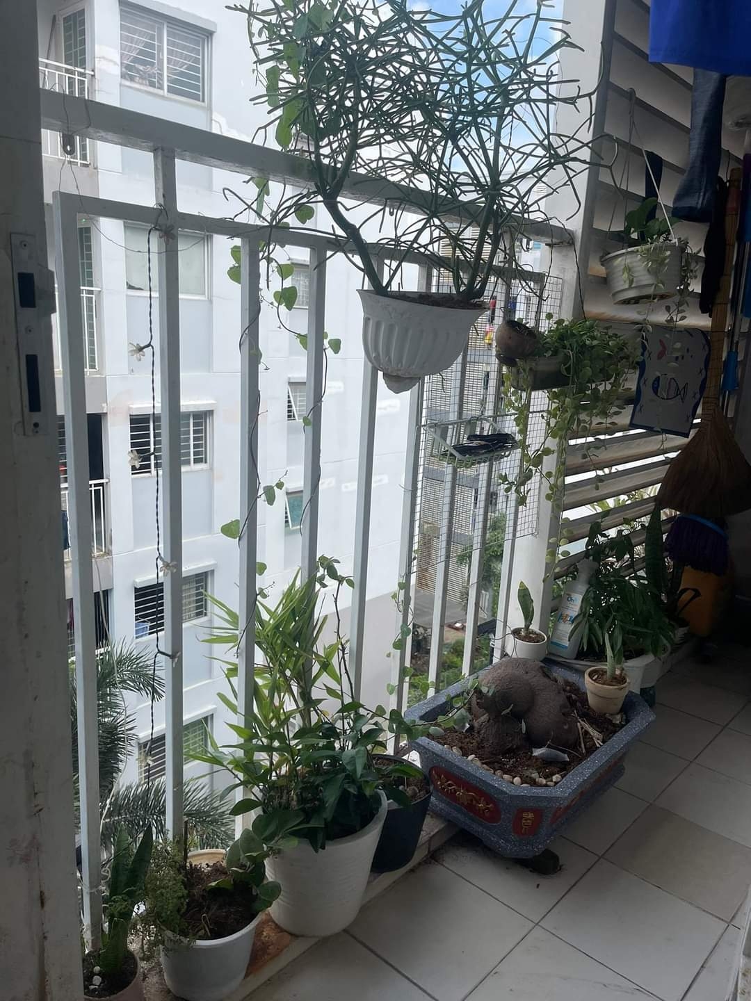 CĂN HỘ EHOME 4 TẠI VĨNH PHÚ, THUẬN AN, BÌNH DƯƠNG LẦU CAO, BAO NỘI THẤT CĂN HỘ EHOME 4 TẠI VĨNH PHÚ, THUẬN AN, BÌNH DƯƠNG LẦU CAO, BAO NỘI THẤT