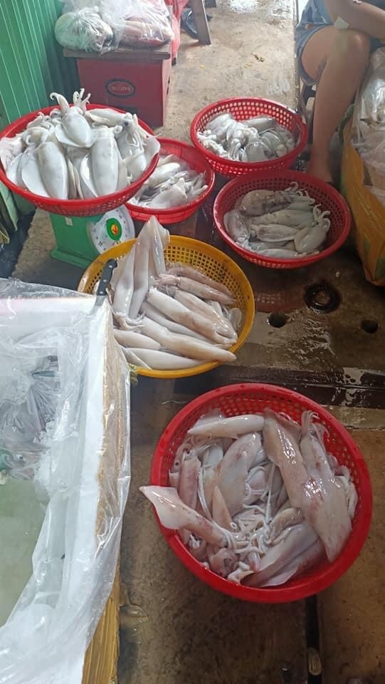 Ở ĐÂY CÓ BÁN MỰC TƯƠI NGON Ở ĐÂY CÓ BÁN MỰC TƯƠI NGON