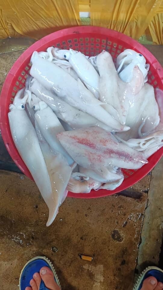 Ở ĐÂY CÓ BÁN MỰC TƯƠI NGON Ở ĐÂY CÓ BÁN MỰC TƯƠI NGON