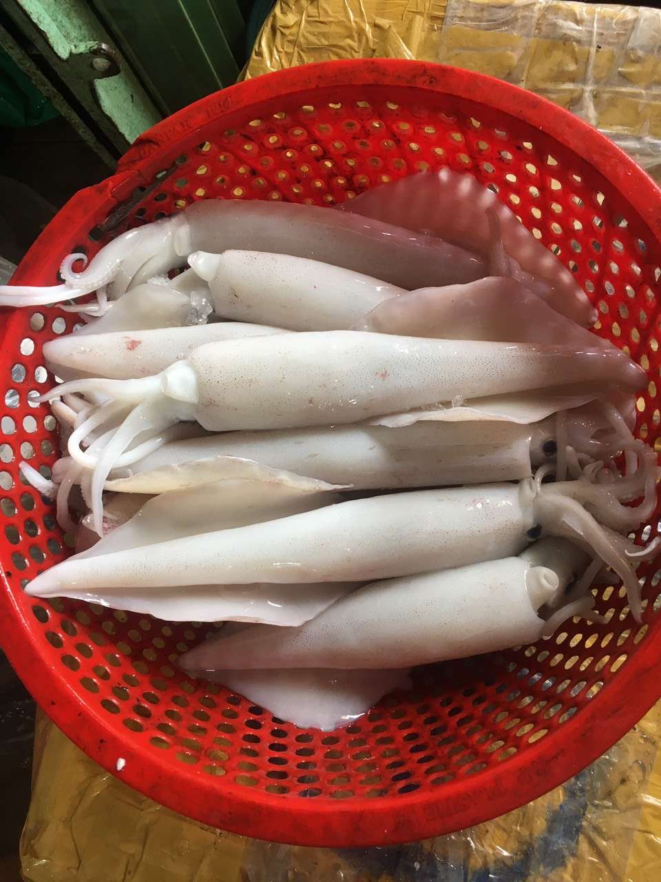 Ở ĐÂY CÓ BÁN MỰC TƯƠI NGON Ở ĐÂY CÓ BÁN MỰC TƯƠI NGON