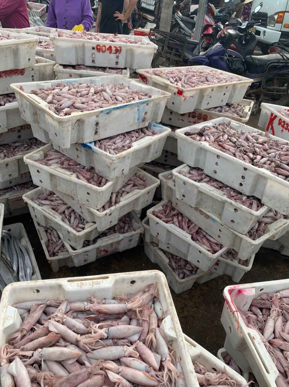 GIÁ HUỶ DIỆT – SALE SALE SALE GIÁ HUỶ DIỆT – SALE SALE SALE