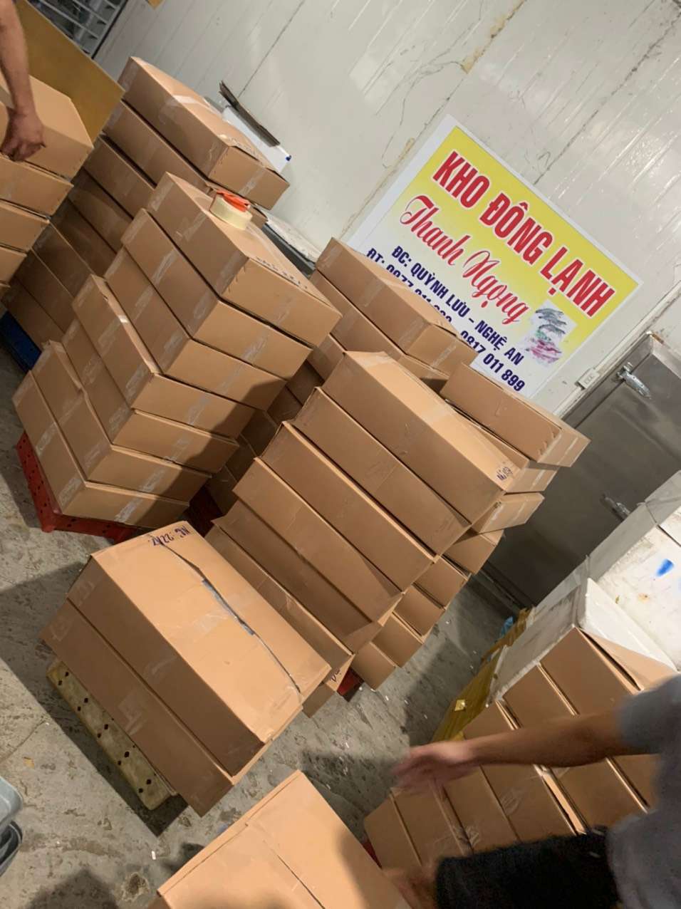 GIÁ HUỶ DIỆT – SALE SALE SALE GIÁ HUỶ DIỆT – SALE SALE SALE