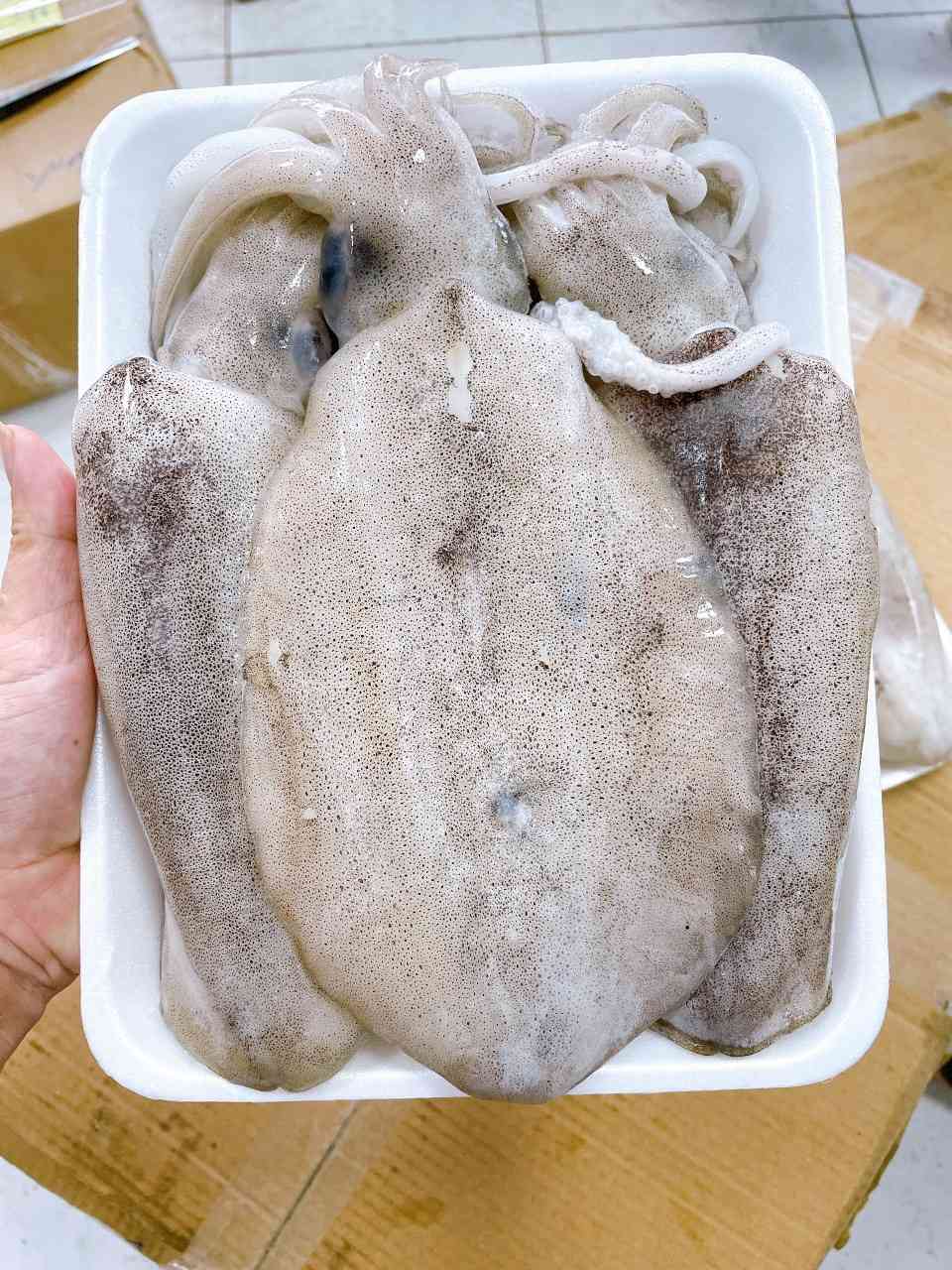 GIÁ HUỶ DIỆT – SALE SALE SALE GIÁ HUỶ DIỆT – SALE SALE SALE