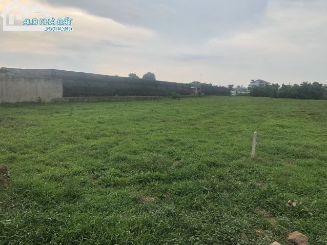 BÁN ĐẤT VƯỜN DT 1980M2 ĐƯỜNG 95, XÃ TÂN PHÚ TRUNG, HUYỆN CỦ CHI, TP.HCM BÁN ĐẤT VƯỜN DT 1980M2 ĐƯỜNG 95, XÃ TÂN PHÚ TRUNG, HUYỆN CỦ CHI, TP.HCM