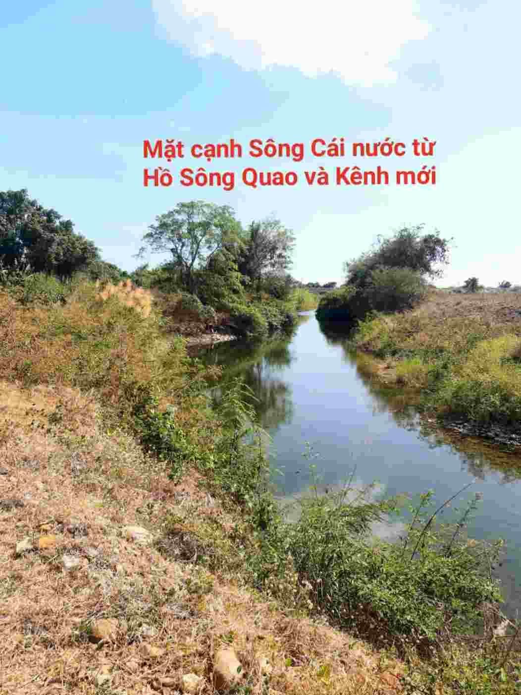 BÁN LÔ ĐẤT DIỆN TÍCH: NGANG 74M X DÀI 56M (TỔNG DIỆN TÍCH: 3825M² ĐẤT CLN) BÁN LÔ ĐẤT DIỆN TÍCH: NGANG 74M X DÀI 56M (TỔNG DIỆN TÍCH: 3825M² ĐẤT CLN)