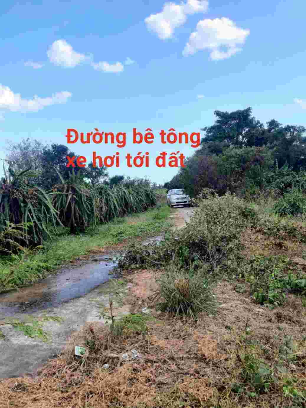 BÁN LÔ ĐẤT DIỆN TÍCH: NGANG 74M X DÀI 56M (TỔNG DIỆN TÍCH: 3825M² ĐẤT CLN) BÁN LÔ ĐẤT DIỆN TÍCH: NGANG 74M X DÀI 56M (TỔNG DIỆN TÍCH: 3825M² ĐẤT CLN)