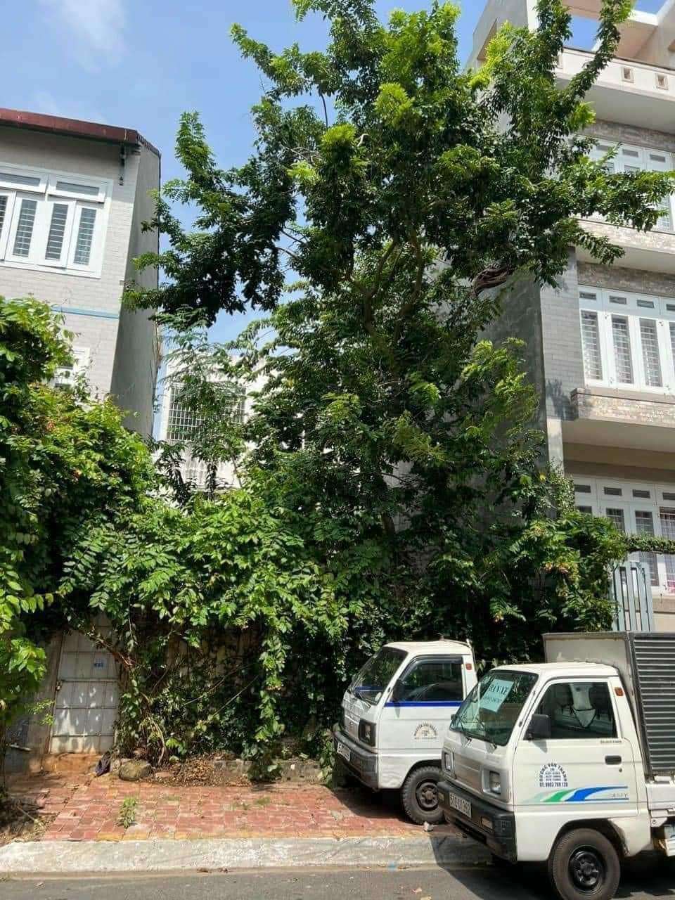 BÁN LÔ ĐẤT KHANG LINH, PHƯỜNG 10, TP. VŨNG TÀU TỪ 6 TỶ 150TR HẠ LUÔN XUỐNG .. BÁN LÔ ĐẤT KHANG LINH, PHƯỜNG 10, TP. VŨNG TÀU TỪ 6 TỶ 150TR HẠ LUÔN XUỐNG ..