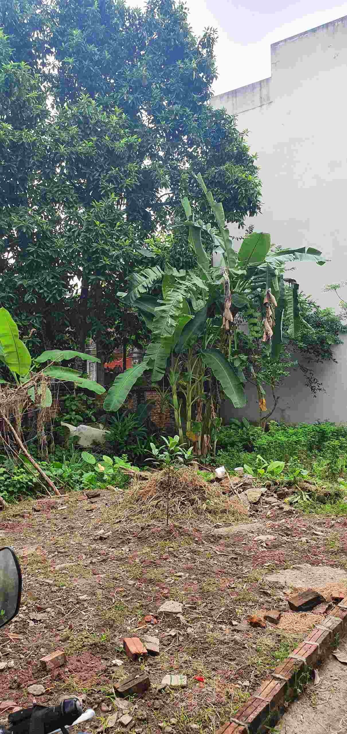 CHÍNH CHỦ CẦN BÁN ĐẤT TẠI ĐỊA CHỈ: ĐƯỜNG PHƯỢNG BÃI - HÀ ĐÔNG