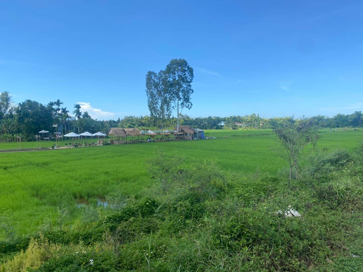 NGAY CHỢ VĨNH ĐIỆNTHỊ TRẤN VĨNH ĐIỆN, THỊ XÃ ĐIỆN BÀN. NGAY CHỢ VĨNH ĐIỆNTHỊ TRẤN VĨNH ĐIỆN, THỊ XÃ ĐIỆN BÀN.