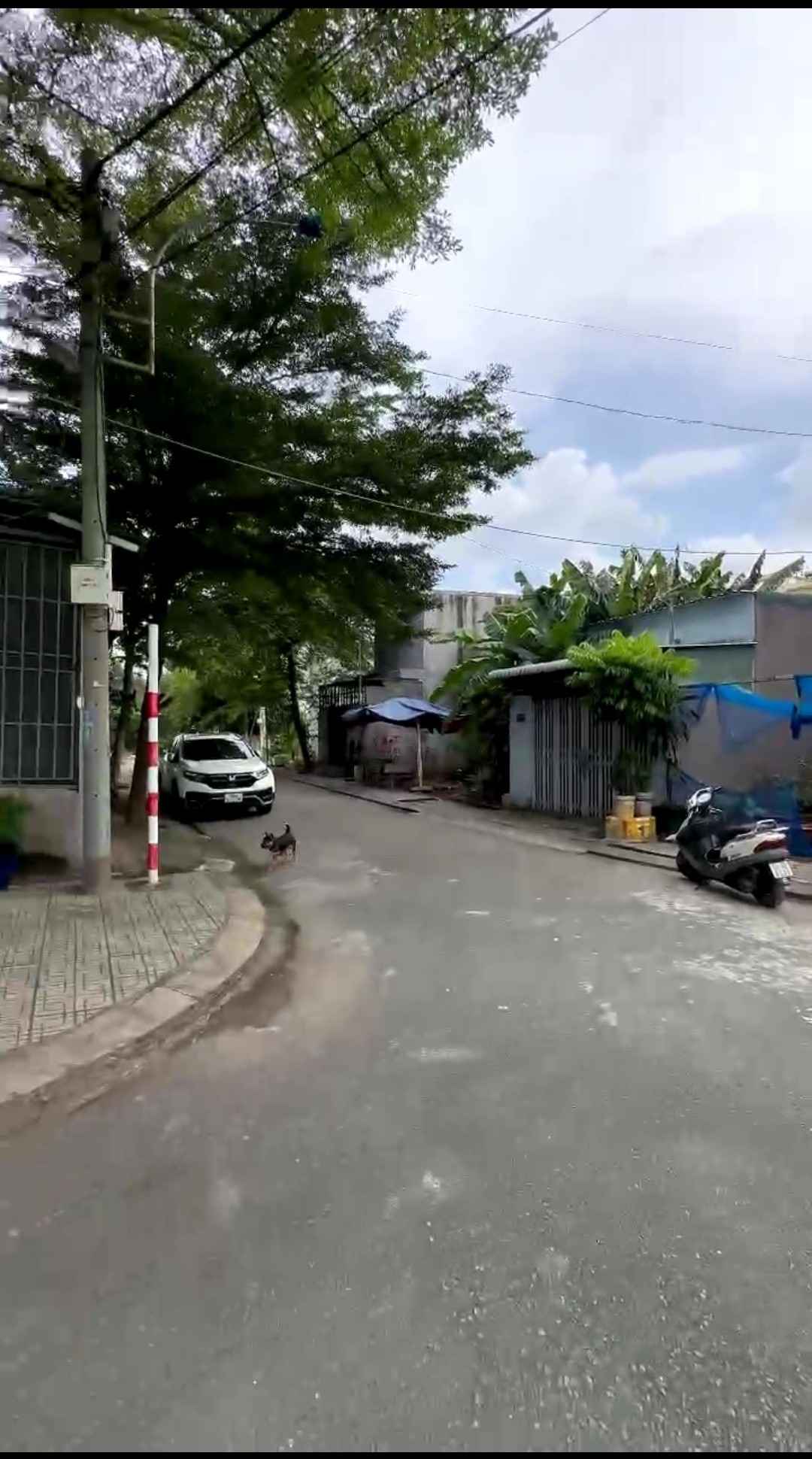 BÁN ĐẤT PHÚ HỮU QUẬN 9 ĐƯỜNG NGUYỄN THỊ TƯ GẦN CHỢ GIÁ RẺ (58M2) 3 TỶ BÁN ĐẤT PHÚ HỮU QUẬN 9 ĐƯỜNG NGUYỄN THỊ TƯ GẦN CHỢ GIÁ RẺ (58M2) 3 TỶ