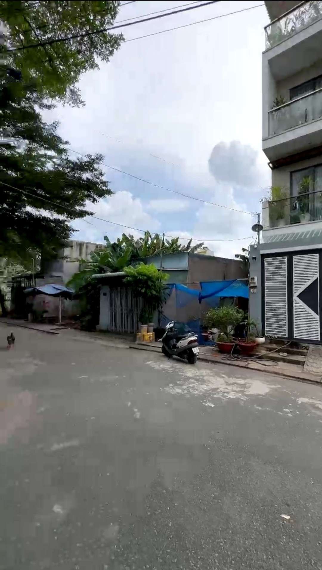 BÁN ĐẤT PHÚ HỮU QUẬN 9 ĐƯỜNG NGUYỄN THỊ TƯ GẦN CHỢ GIÁ RẺ (58M2) 3 TỶ BÁN ĐẤT PHÚ HỮU QUẬN 9 ĐƯỜNG NGUYỄN THỊ TƯ GẦN CHỢ GIÁ RẺ (58M2) 3 TỶ
