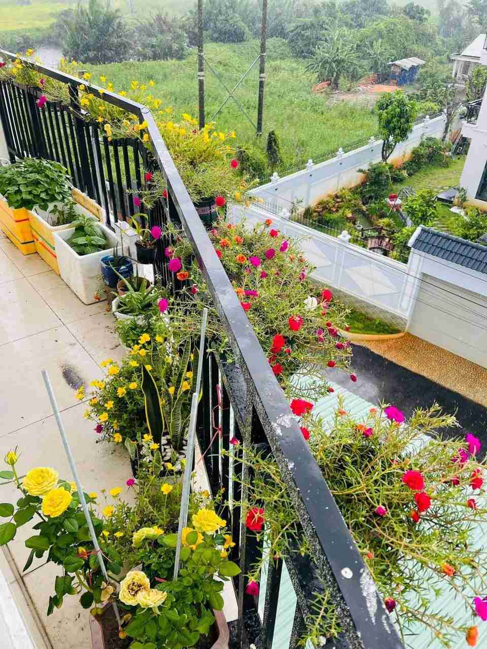 BÁN NHÀ CĂN GÓC MẶT SÔNG GÒ DƯA P LINH ĐÔNG TP THỦ ĐỨC (228M2) 18.5 TỶ BÁN NHÀ CĂN GÓC MẶT SÔNG GÒ DƯA P LINH ĐÔNG TP THỦ ĐỨC (228M2) 18.5 TỶ