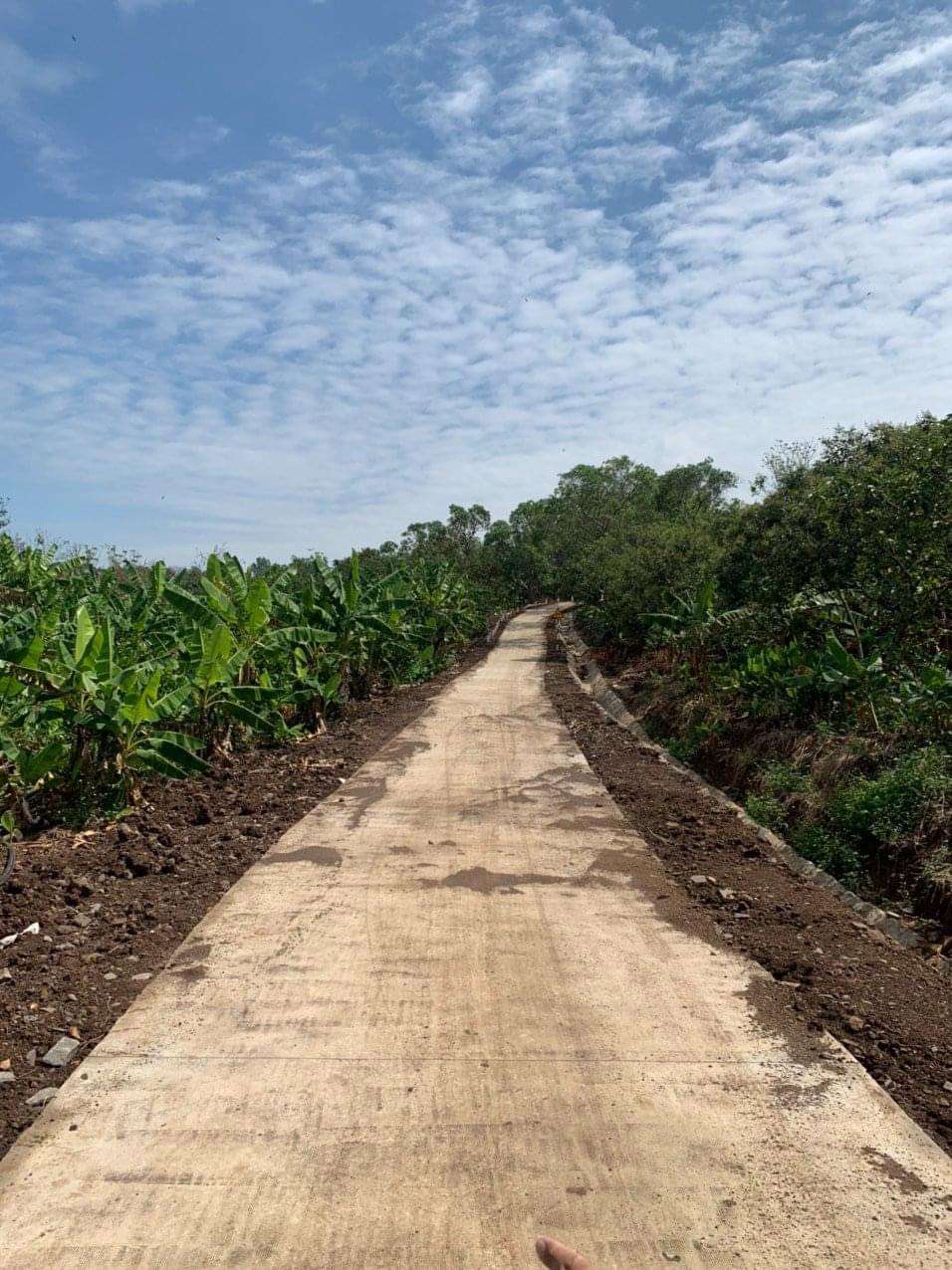 CHÍNH CHỦ CẦN BÁN 1200M2 ĐẤT TẠI TRUNG TÂM THỐNG NHẤT, BÀU HÀM 2, ĐỒNG NAI .. CHÍNH CHỦ CẦN BÁN 1200M2 ĐẤT TẠI TRUNG TÂM THỐNG NHẤT, BÀU HÀM 2, ĐỒNG NAI ..