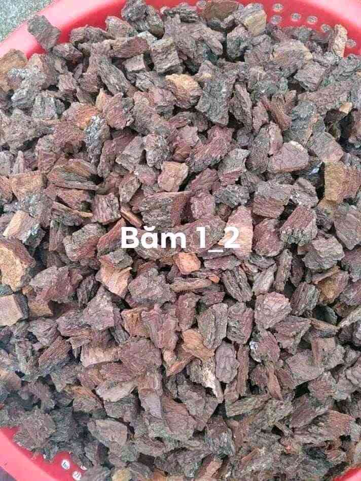 TỔNG XẢ KHO VỎ THÔNG