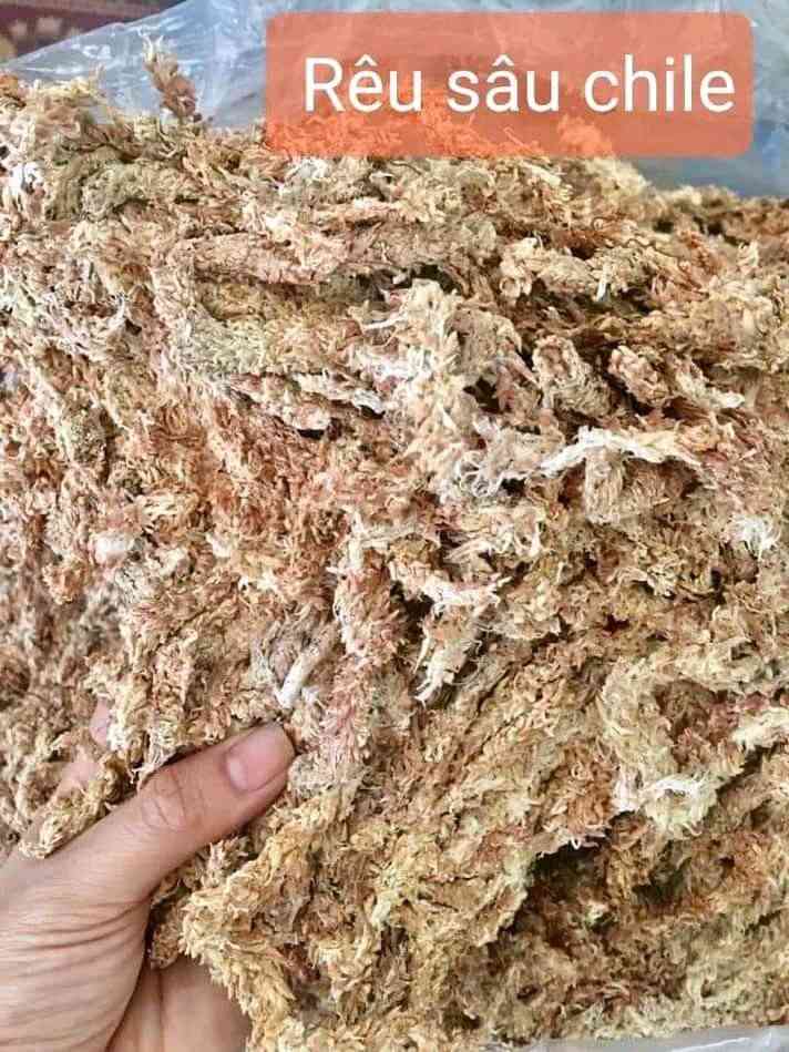 TỔNG XẢ KHO VỎ THÔNG