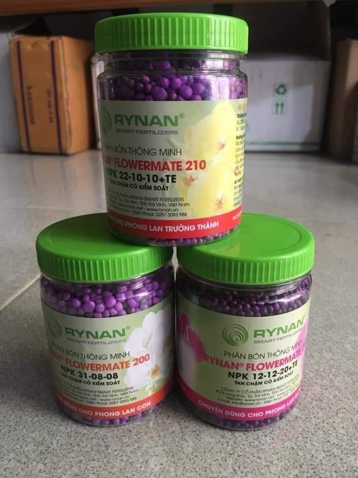 TỔNG XẢ KHO VỎ THÔNG