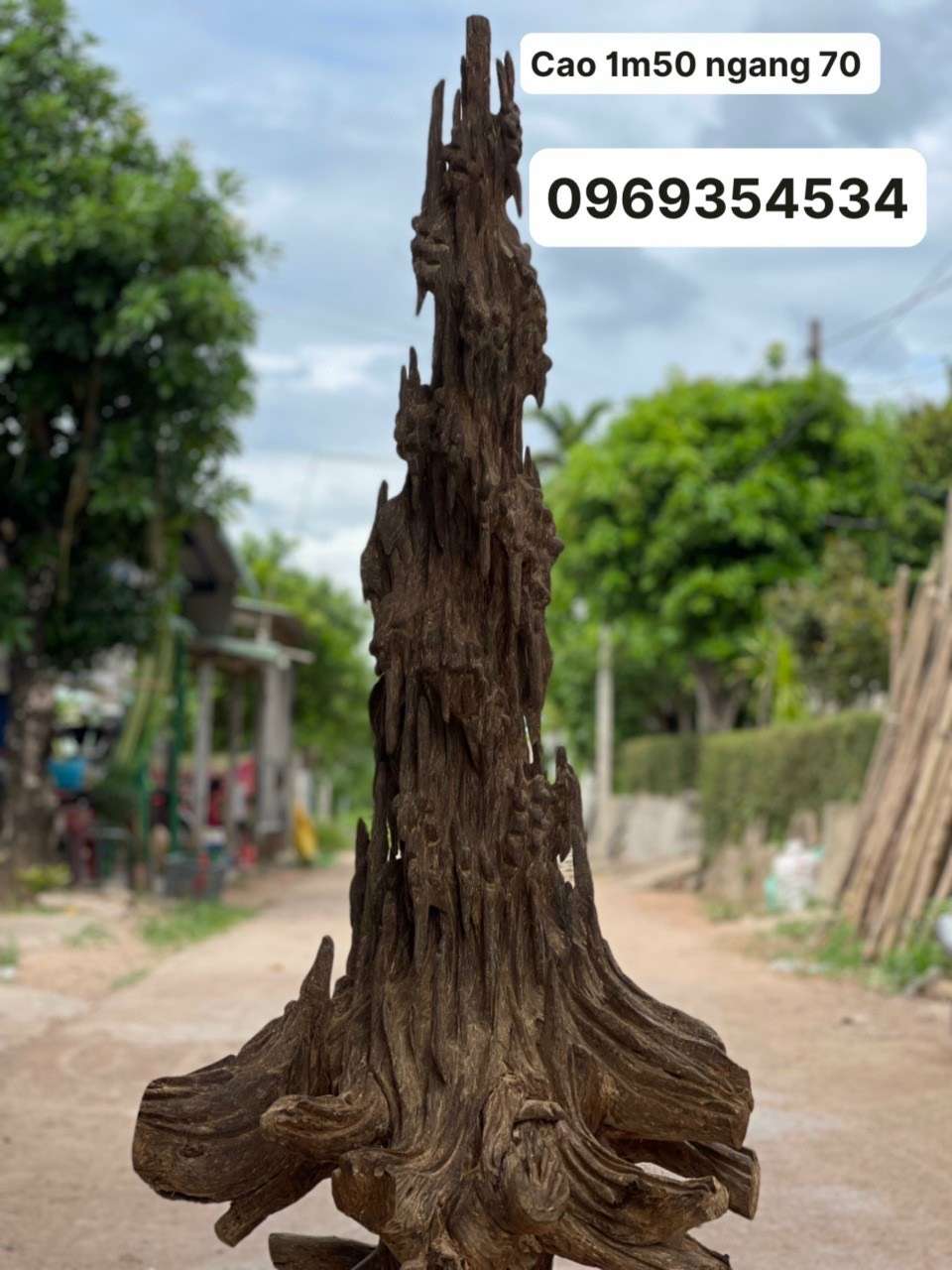 BẠN LÀ MỘT NGƯỜI YÊU THÍCH VẺ ĐẸP CỔ XƯA.