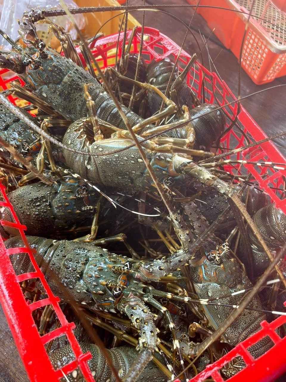 HẢI SẢN LỘC BIỂN XIN KÍNH CHÀO QUÝ KHÁCH HÀNG