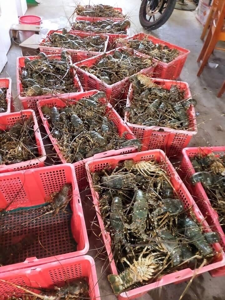 HẢI SẢN LỘC BIỂN XIN KÍNH CHÀO QUÝ KHÁCH HÀNG