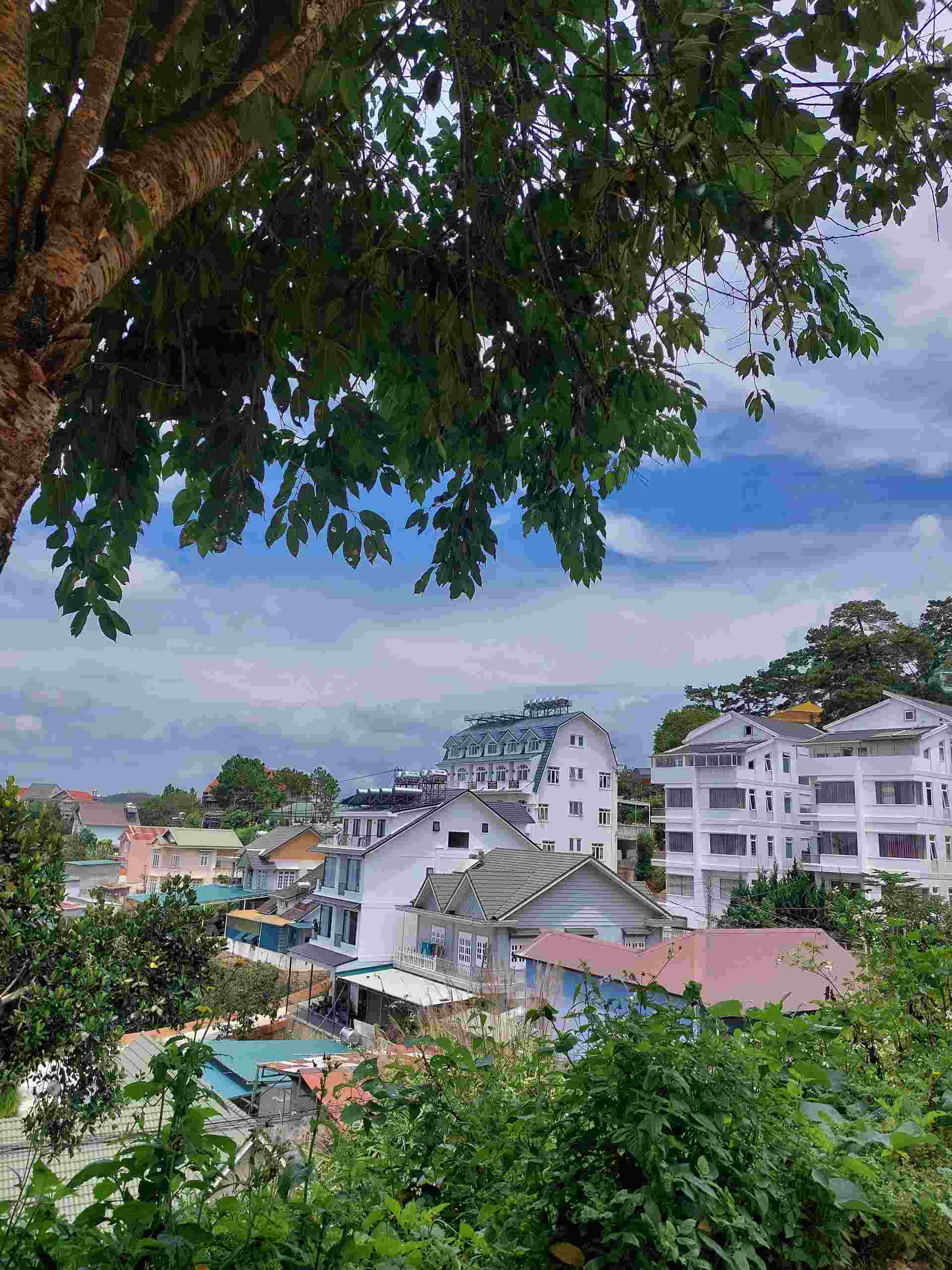 CẦN BÁN LÔ ĐẤT XÂY DỰNG Ở KE SANH PHƯỜNG 10 TP ĐÀ LẠT GIÁ 12,2 TỶ CẦN BÁN LÔ ĐẤT XÂY DỰNG Ở KE SANH PHƯỜNG 10 TP ĐÀ LẠT GIÁ 12,2 TỶ