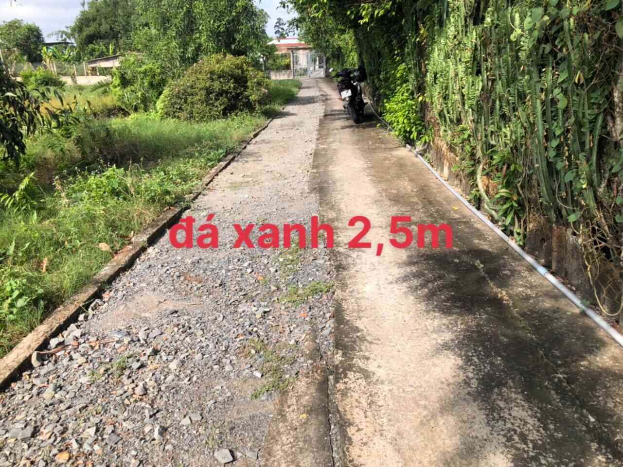 ĐẤT THUỘC ẤP BÌNH THẠNH-XÃ BÌNH TỊNH-HUYỆN TÂN TRỤ-TỈNH LONG AN ĐẤT THUỘC ẤP BÌNH THẠNH-XÃ BÌNH TỊNH-HUYỆN TÂN TRỤ-TỈNH LONG AN